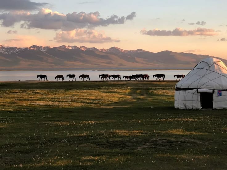 Song-Kul
