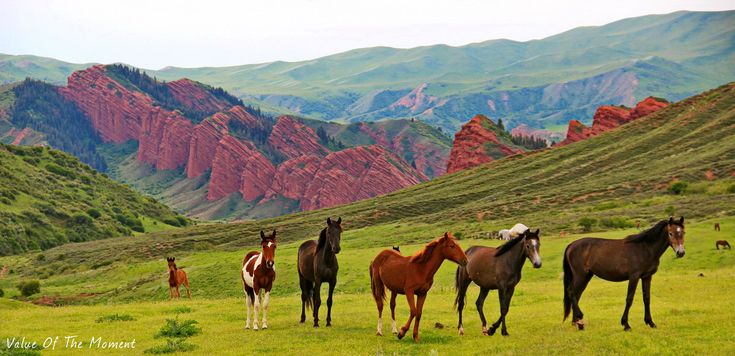 Essential Kyrgyzstan: Mountains, Lakes & Canyons